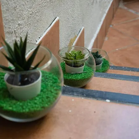 Tie Tie Bed and breakfast